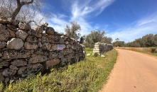 0824-VTA - Muro Leccese -Terreno agricolo in posizione angolare
