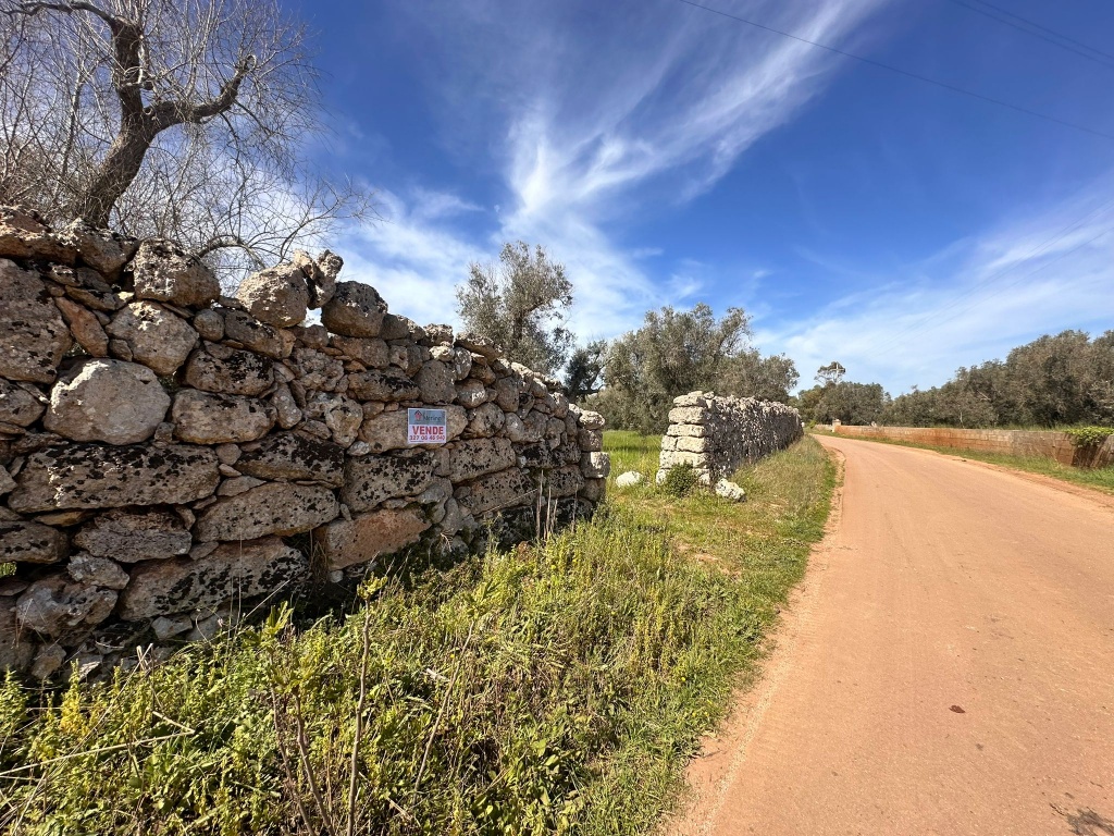 0824-VTA - Muro Leccese -Terreno agricolo in posizione angolare